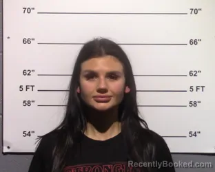 Mugshot of Michelle Anne Frerich