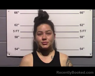 Mugshot of Brittany Nicole Prince