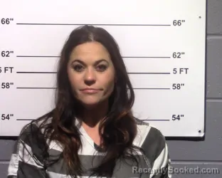 Mugshot of Erika Marie Ingels