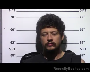 Mugshot of Dalton Nolan Prater booked in Gillespie County, Texas on March 18, 2026