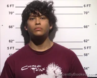 Mugshot of Fernando Alexy Frias booked in Gillespie County, Texas on March 20, 2026