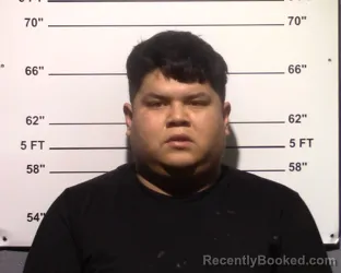 Mugshot of Edson Ramirez Perez booked in Gillespie County, Texas on March 22, 2026