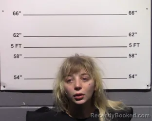 Mugshot of Eleanor Noelie Lorenz booked in Gillespie County, Texas on March 25, 2026