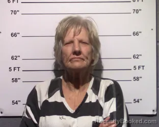 Mugshot of Vickie Kay Lawson booked in Gillespie County, Texas on March 26, 2026