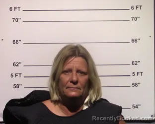 Mugshot of Kelly Sue Stovall booked in Gillespie County, Texas on March 27, 2026