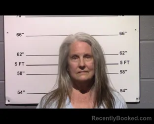 Mugshot of Melinda Ann Dixon booked in Gillespie County, Texas on March 28, 2026