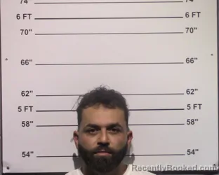 Mugshot of Daniel Osher Shabtai booked in Gillespie County, Texas on April 4, 2026