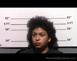 Mugshot of Elizabel Cristina Tice booked in Gillespie County, Texas on April 26, 2026