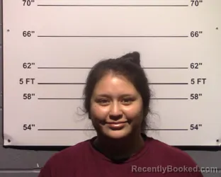 Mugshot of Allyson Paige Ruiz Sanchez booked in Gillespie County, Texas on May 12, 2026
