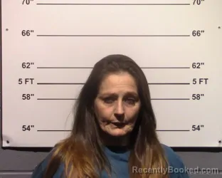 Mugshot of Misty Ann Teer booked in Gillespie County, Texas on May 14, 2026