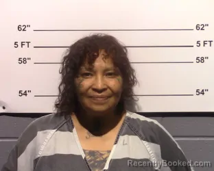 Mugshot of Juanita Ordaz Scott booked in Gillespie County, Texas on June 29, 2026