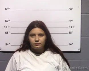 Mugshot of Juanita Adela Sanchez booked in Gillespie County, Texas on August 4, 2026