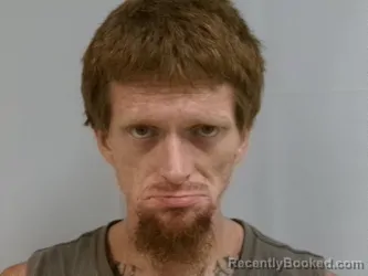 Mugshot of Brandon Lee Likens booked in Randolph County, West Virginia on July 9, 2026