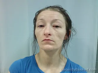 Mugshot of Cynthia Ann Meek booked in Randolph County, West Virginia on May 16, 2026