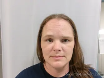 Mugshot of Heather Renea Hammonds