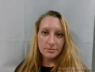 Mugshot of Monica Danielle Herndon booked in Randolph County, West Virginia on June 24, 2026