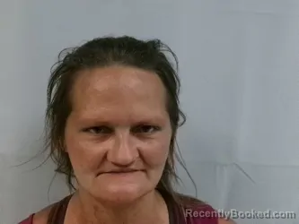 Mugshot of Nika Marie Spiva booked in Randolph County, West Virginia on April 24, 2026