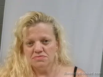 Mugshot of Patricia Ann Minear booked in Randolph County, West Virginia on July 31, 2026