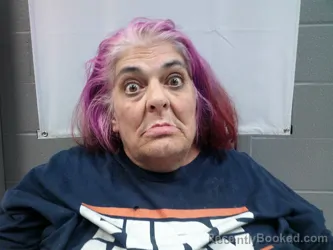 Mugshot of Phyllis Rae Welch booked in Randolph County, West Virginia on March 29, 2026