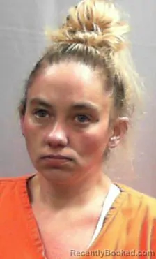 Mugshot of Brittnee Marie Wells