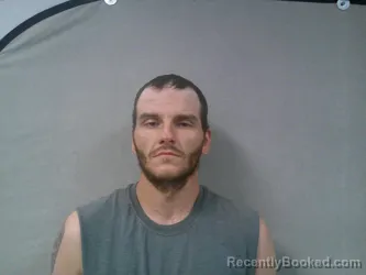 Mugshot of David William Harrison booked in Roane County, West Virginia on June 17, 2026