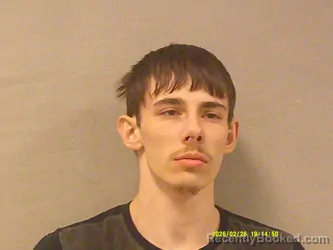 Mugshot of Ryan Dillon Ringo Walls