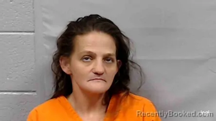 Mugshot of Brittany Renee Williams