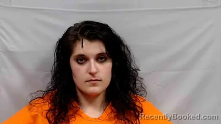 Mugshot of Hannah Maekayla Romanello booked in Summers County, West Virginia on April 25, 2026