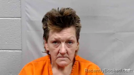 Mugshot of Teresa Diane Holland