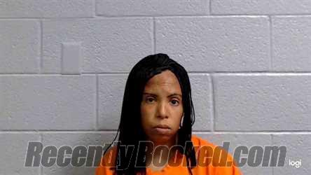 Booking photo from Summers County, West Virginia
