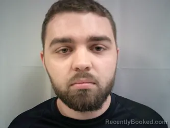 Mugshot of Austin Lee Robinson booked in Taylor County, West Virginia on March 17, 2026