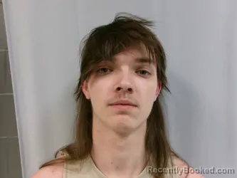 Mugshot of Auston Nathanial Swisher