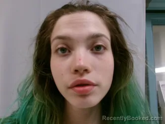 Mugshot of Candace Bowman