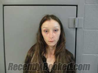 Booking photo from Taylor County, West Virginia