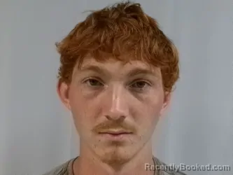 Mugshot of Noah James Nestor booked in Taylor County, West Virginia on April 16, 2026