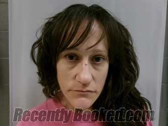 Booking photo from Taylor County, West Virginia
