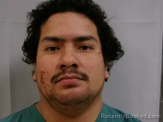 Booking photo from Taylor County, West Virginia