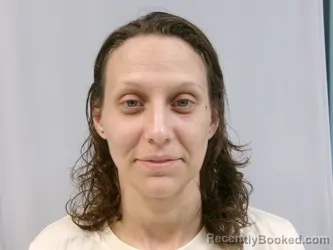 Mugshot of Brittani Nikole Fry