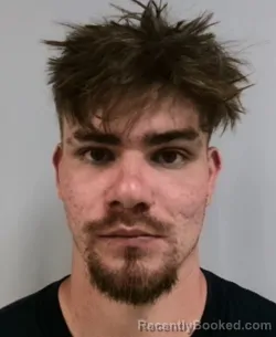 Booking photo from Upshur County, West Virginia