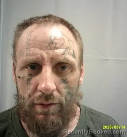 Mugshot of Ian Vee Wooden