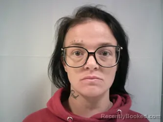 Mugshot of Michelle Lee Tomey booked in Upshur County, West Virginia on May 11, 2026