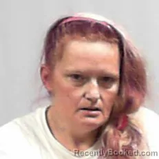 Mugshot of Brittany Amanda Hewlett booked in Wayne County, West Virginia on May 1, 2026