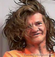 Mugshot of Justin Travis Roberts booked in Wayne County, West Virginia on March 27, 2026