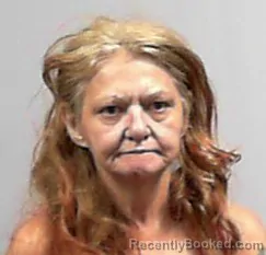 Mugshot of Rosa Lee Jackson booked in Wayne County, West Virginia on September 7, 2026