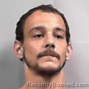 Mugshot of William Tyler Heaberlin booked in Wayne County, West Virginia on June 20, 2026