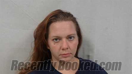 Booking photo from Webster County, West Virginia