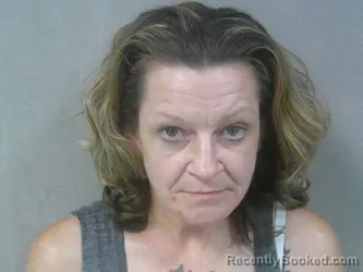 Mugshot of Brandy Marie Thompson booked in Webster County, West Virginia on June 25, 2026