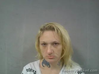 Mugshot of Danielle Sue King booked in Webster County, West Virginia on July 8, 2026