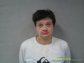 Mugshot of Heaven Renea Long