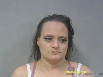Booking photo from Webster County, West Virginia